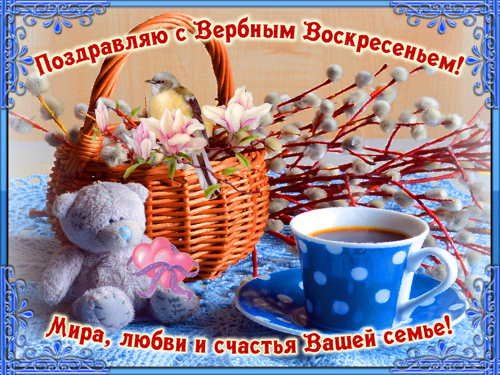 sajt197