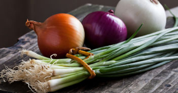 shutterstock_161066597-onion-group