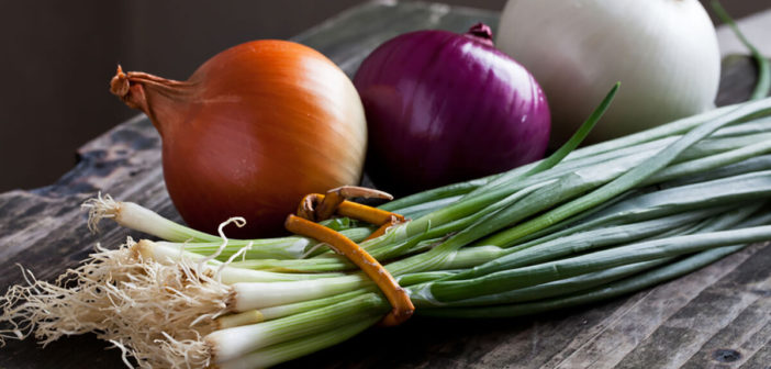 shutterstock_161066597-onion-group