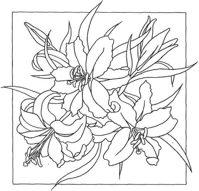 eskiz-lilii-dlya-rospisi-shelka