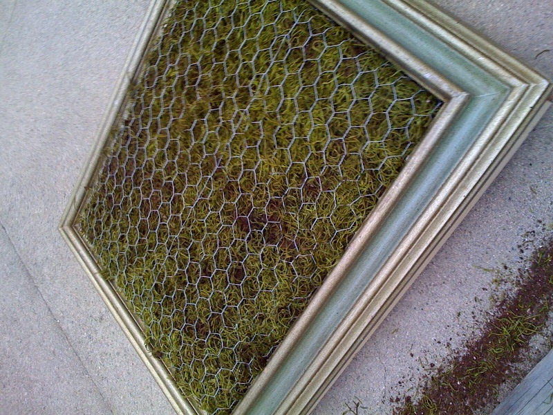 5159380849_be9815c64b_b