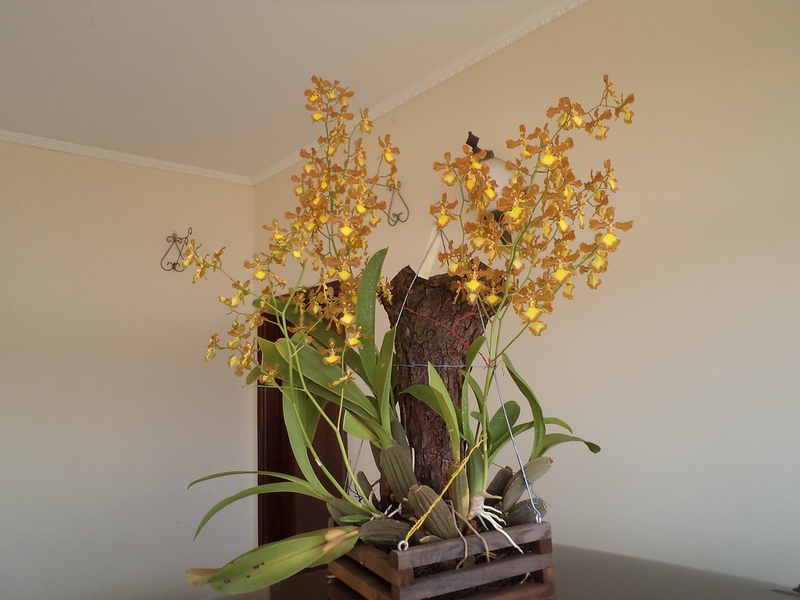 8445954946_39b25d92dd_b