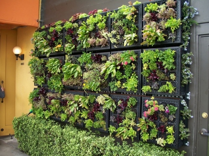 8diy-creative-vertical-gardening-ideas