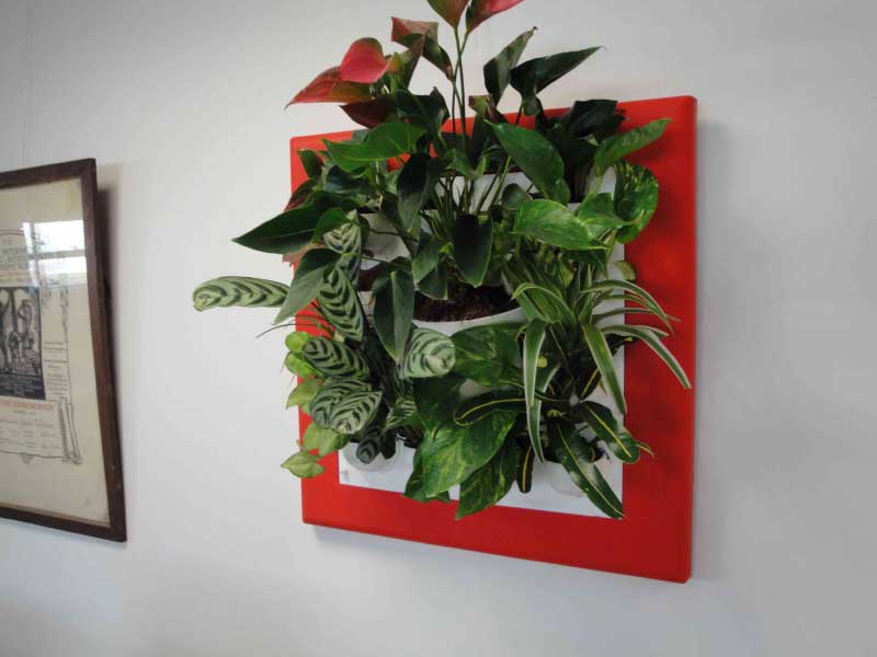 green-ozelenenie-026