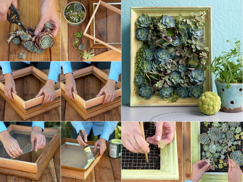 vertikal_nyj_sad_v_kvartire-46-650x484