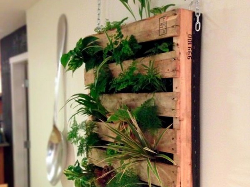 vertikalnoe-ozelenenie7-1