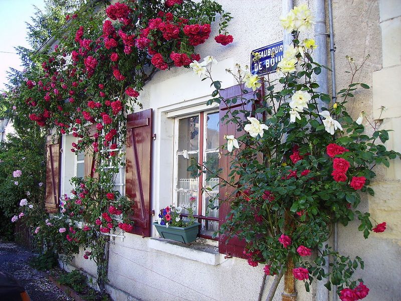 wall_2011_donzy_burgundy_france