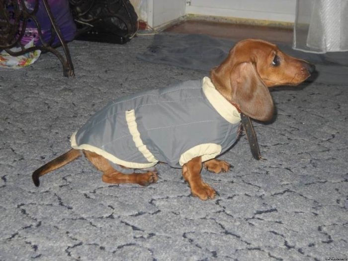 7392acf2c442670f42f934aac5772c33