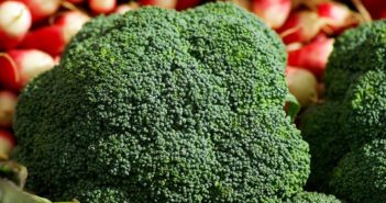 broccoli-673204_960_720_2018-09-21_12-12-21