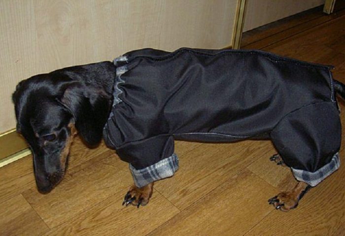 d676ac2f2541c43c36b585f6d2211e89