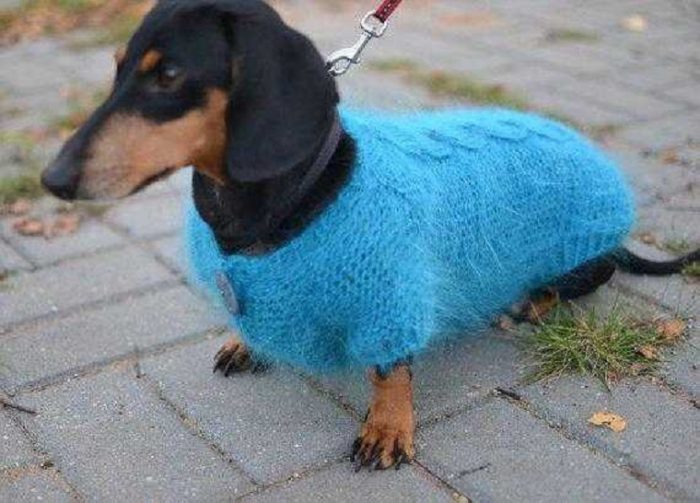 kak-sshit-kombinezon-dlya-taksy-svoimi-rukami-poshagovaya-instrukciya_16