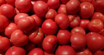 tomato-background-4