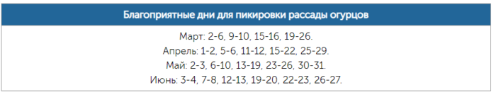 pikirovka-rassady