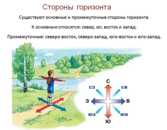 3-itroplshshhdgz0