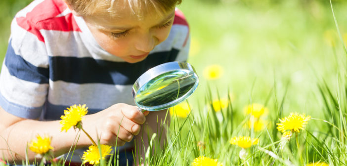 Young boy exploring nature in a meadow with a magnifying glass looking for insects